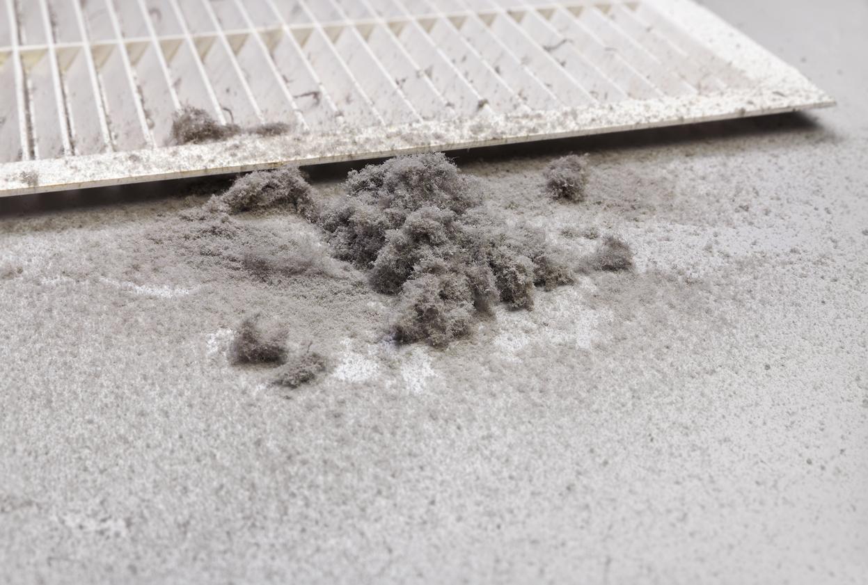 Dust collected from an air duct filter